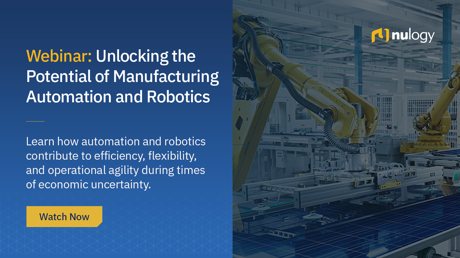 Discover how to not only survive but thrive amid uncertainty