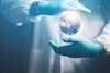Triumphs and Challenges in Sustainability