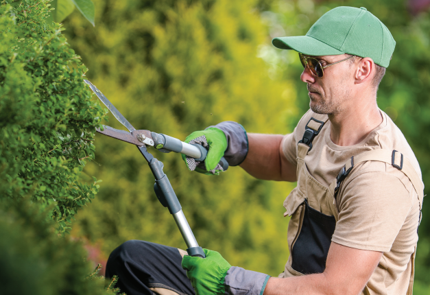 8方面业务信用卡可以提高绿化公司的财务状况