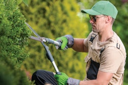 8 Ways a Business Credit Card can Improve your Landscaping Company’s Finances