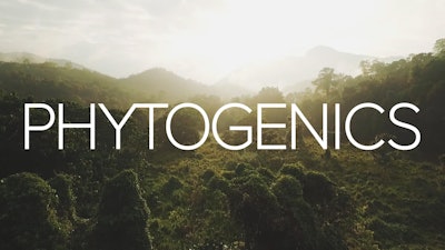 Phytogenics: The holistic solutions in animal production
