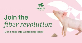 Hamlet Protein pig