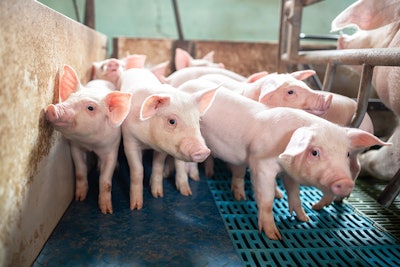 ADM opens a new animal nutrition lab to extend their science-based feed additives research and product development