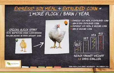 Improving growth performance in broilers
