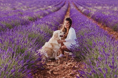 Unleash the Power of Postbiotics in Pets