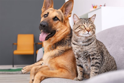 Improve pet health and metabolism with a functional ingredient