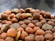 Keeping Mycotoxins Out of Pet Food