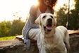 Probiotics for Pets: Select the Right Strains for Your Application