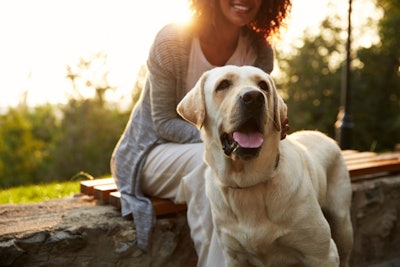Probiotics for Pets: Select the Right Strains for Your Application
