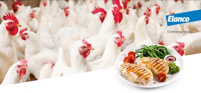 Prepare Today, Protect Tomorrow: Put Poultry Food Safety First