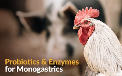 Probiotics and enzymes for monogastrics