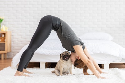 Omega-3s are Transforming Consumer Demand for Better Pet Nutrition
